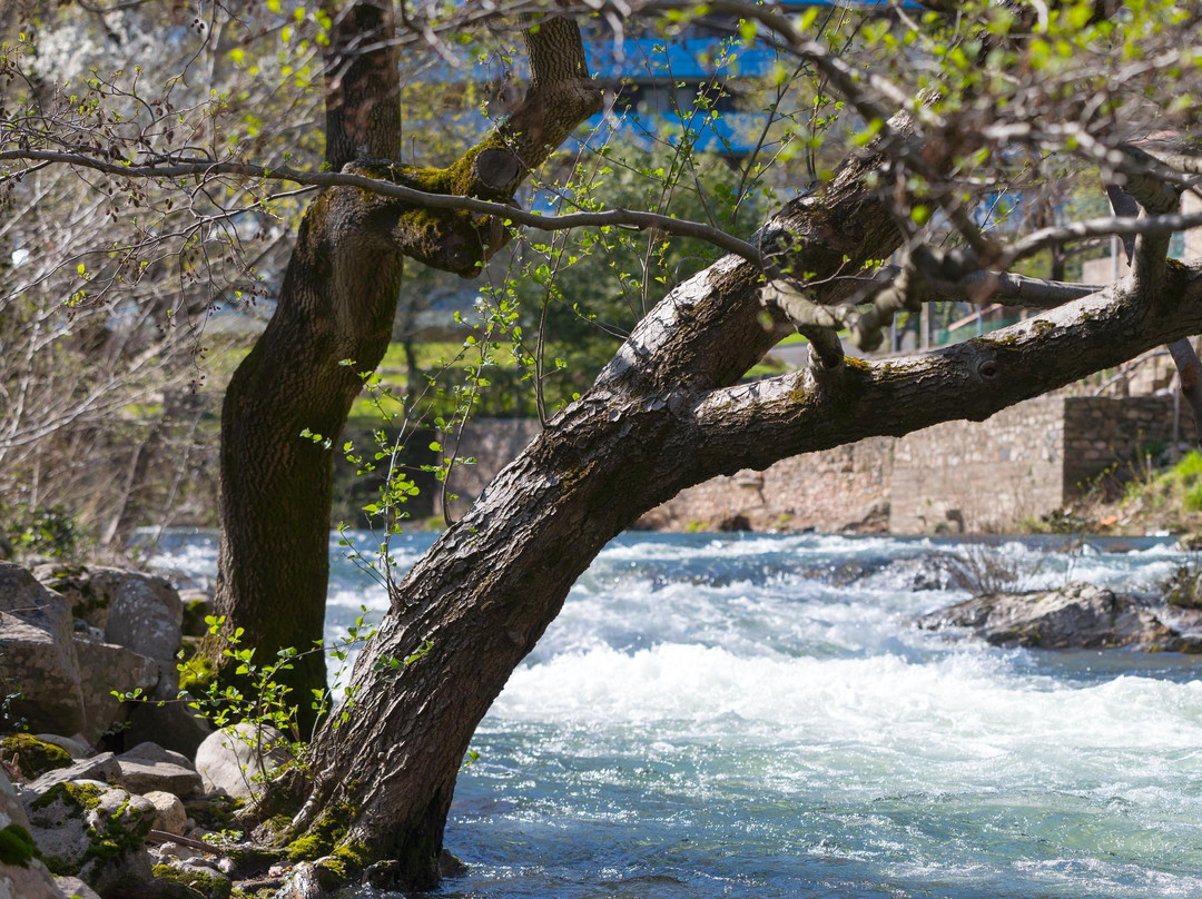 Eau Thermale Avène L'hôtel主图