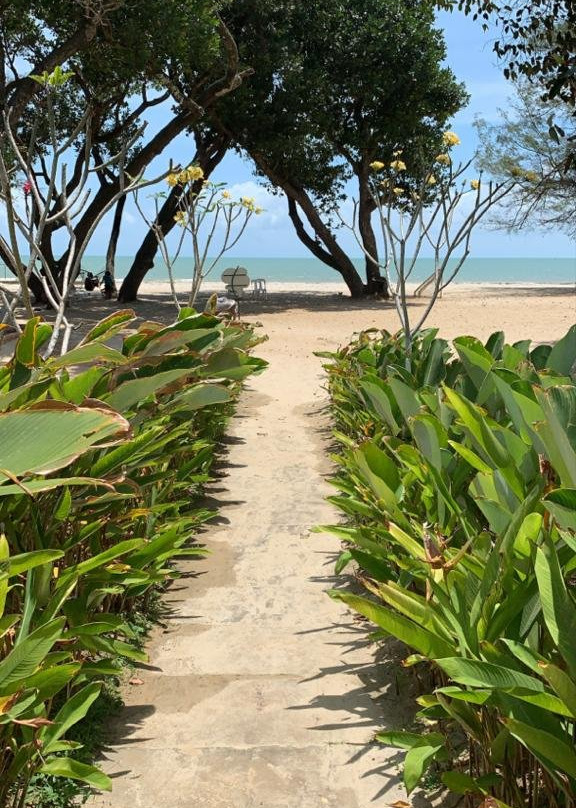 瑞士花园温泉度假村主图