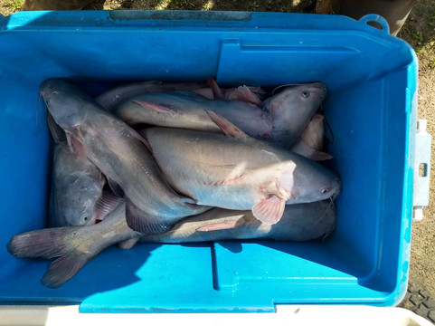 Bob's Guide Services-Broken Bow必去景点