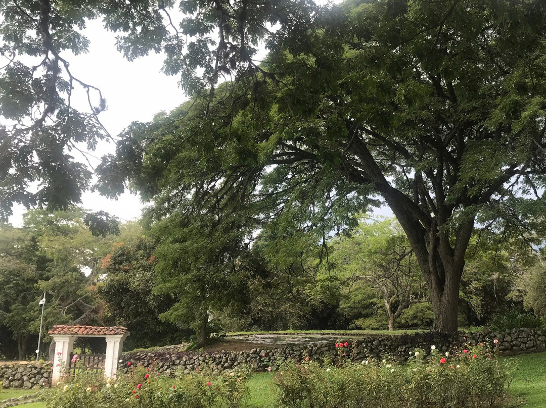 Hacienda El Paraíso景点图片