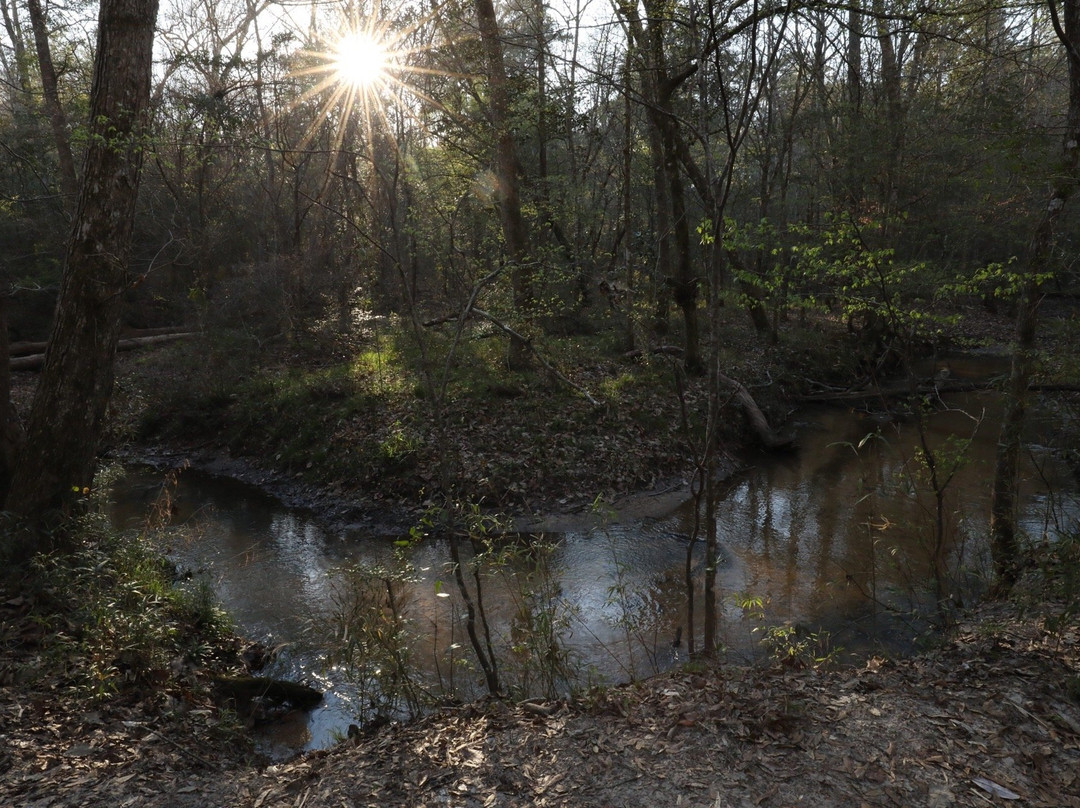 Big Creek Scenic Area-Shepherd必去景点