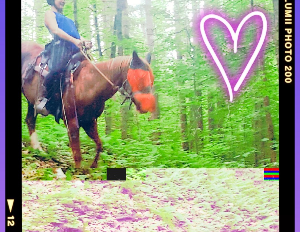 Adventure Horse Riding in NYS景点图片