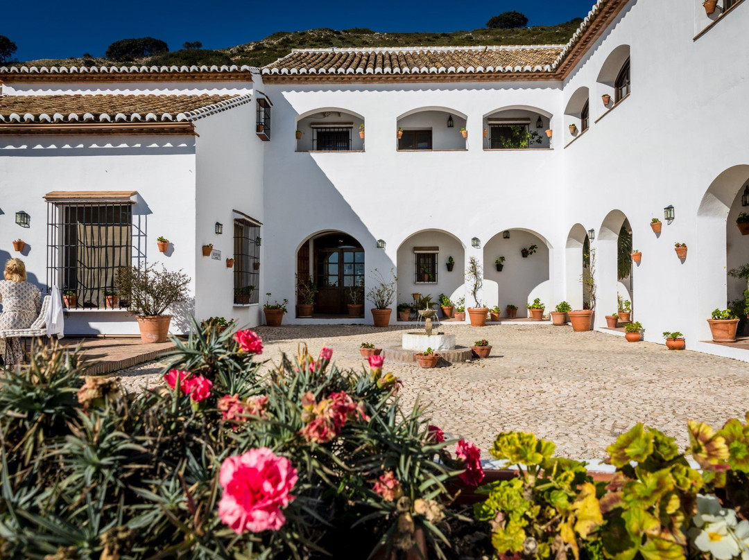 La Joya餐馆和美食-Restaurante Fuente del Sol