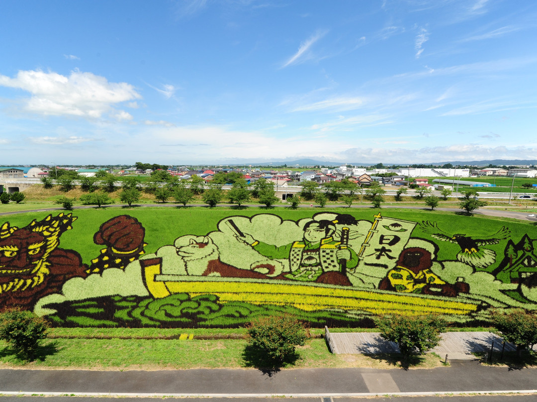Inakadate Mura Tanbo Art景点图片