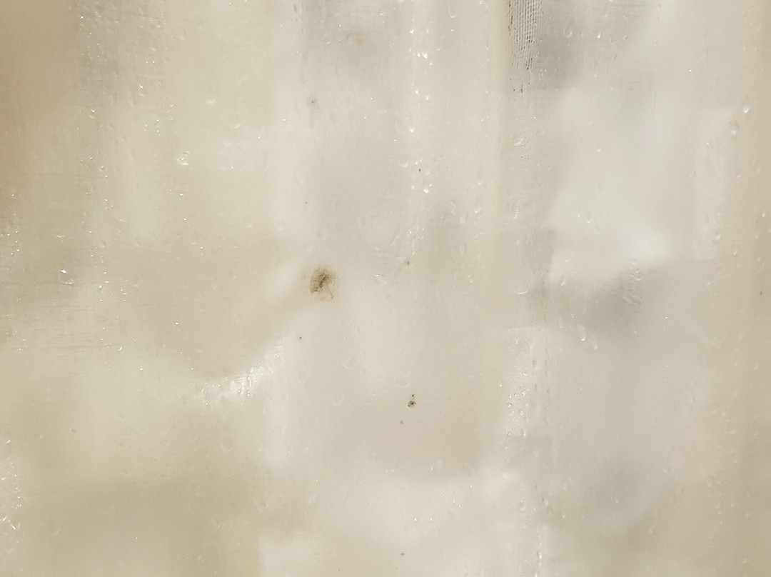 Hyatt Place Detroit/Auburn Hills主图