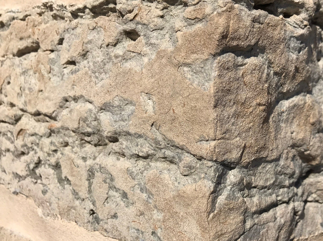 The Church of the Holy Apostles-Oneida必去景点