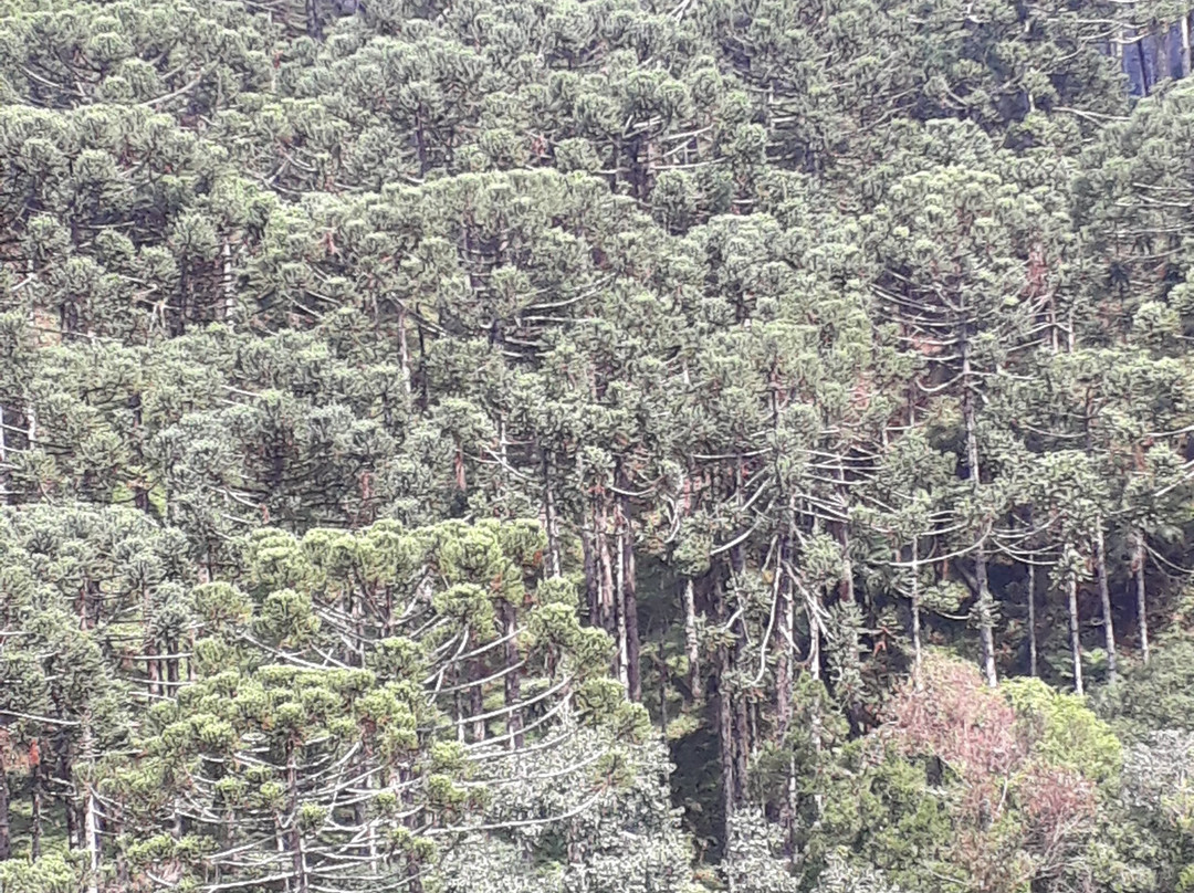 Pousada Som das Águas主图