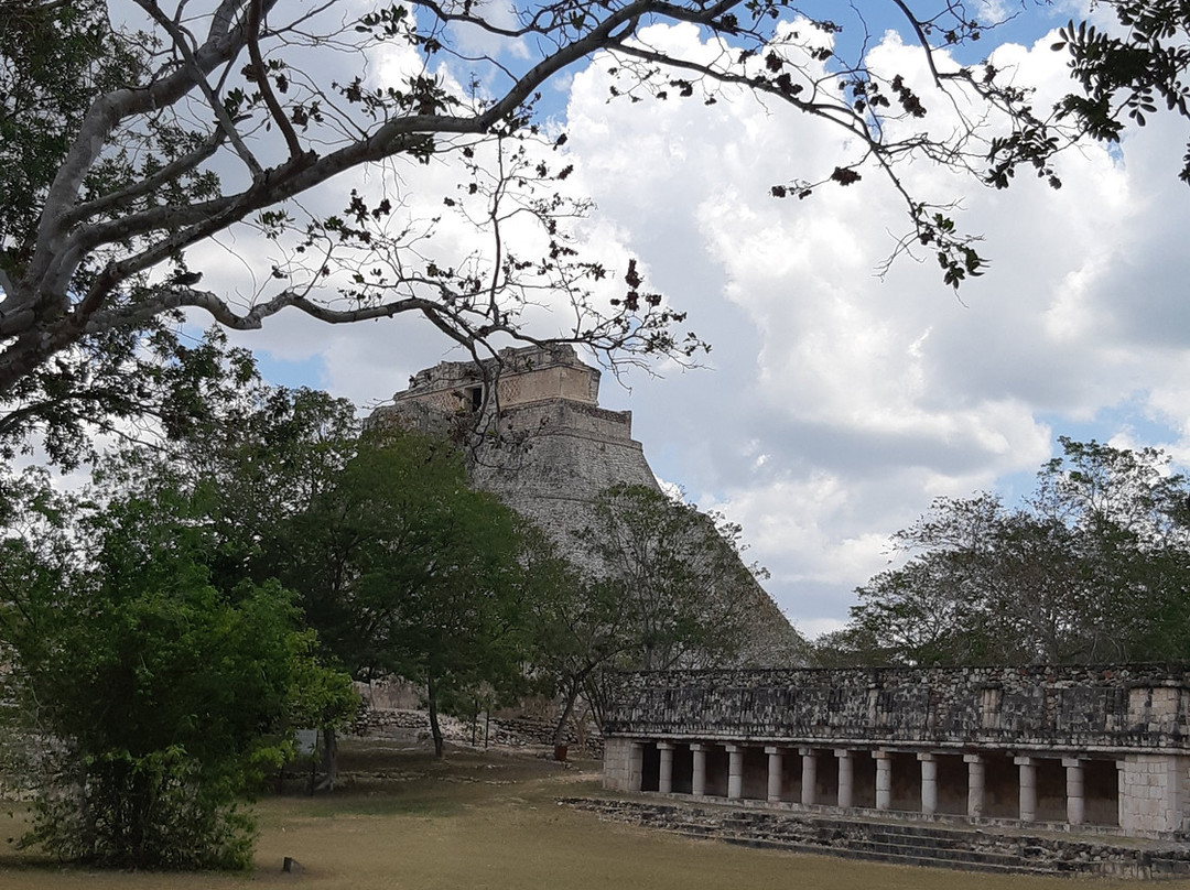 La Casa del Mago主图