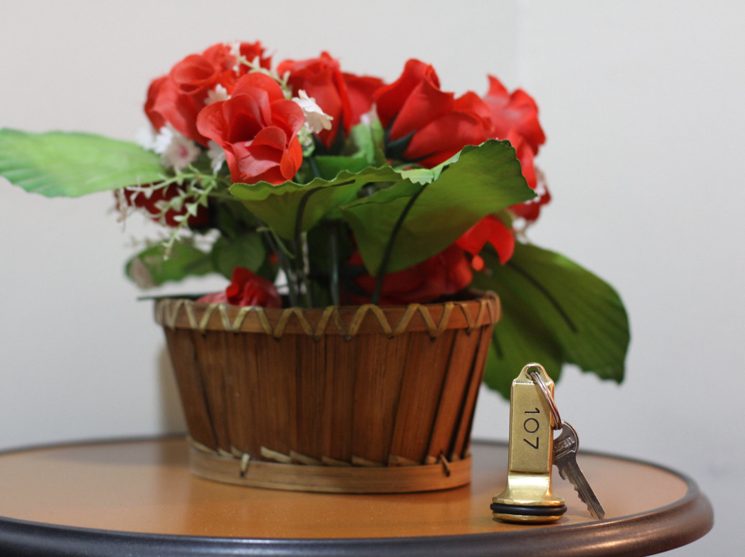 Butik Ertur Hotel主图