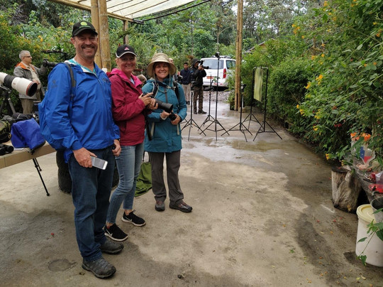 Llamingo Travel-基多必去景点