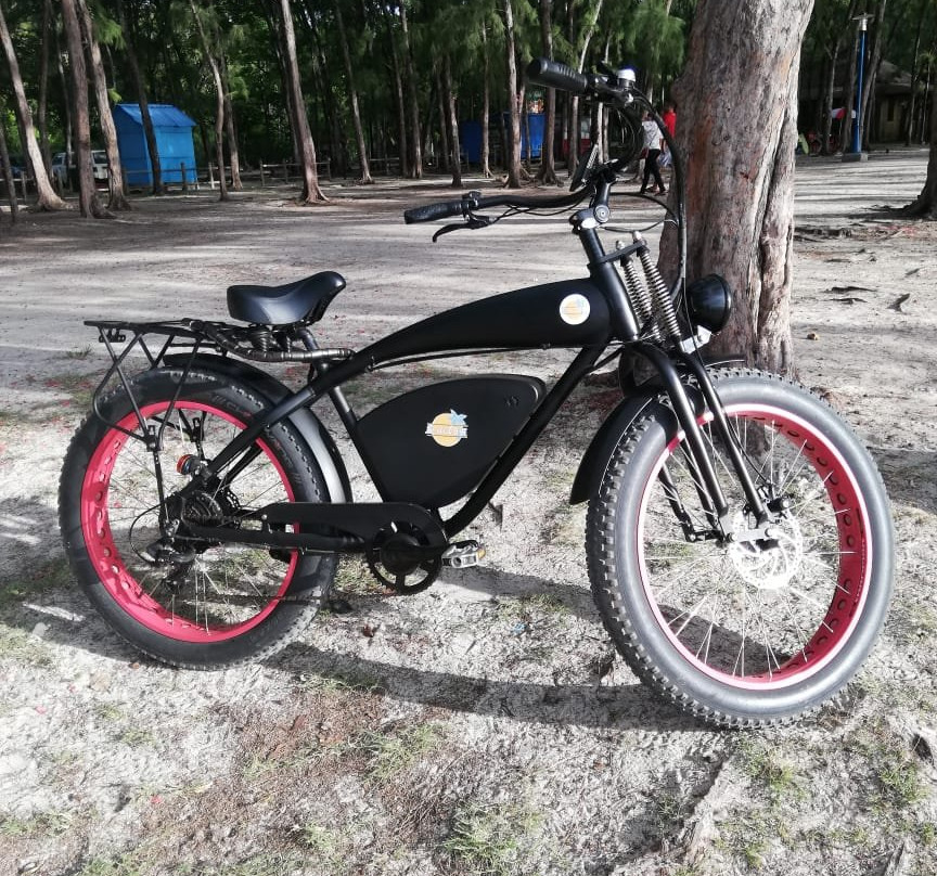 Ilectrik Bike-里维耶尔迪朗帕必去景点