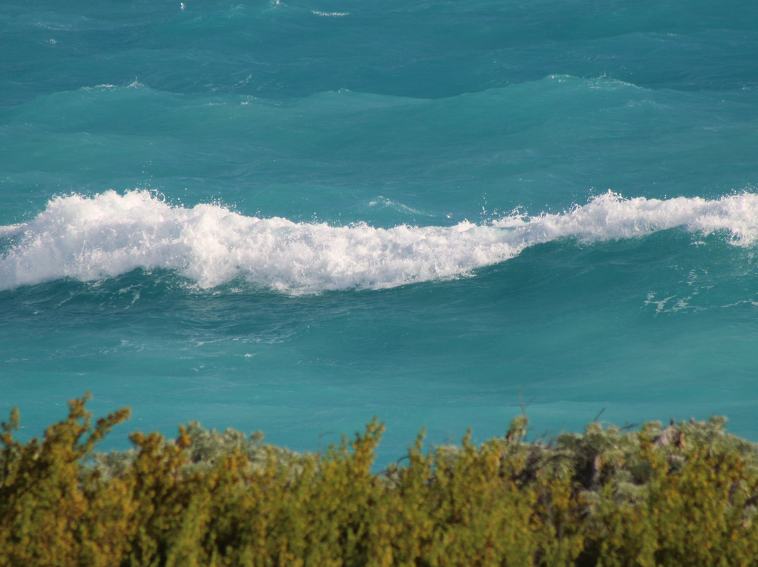 Bella Isla Resort主图