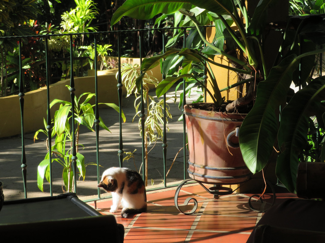 Hotel Trapp Family Country Inn主图