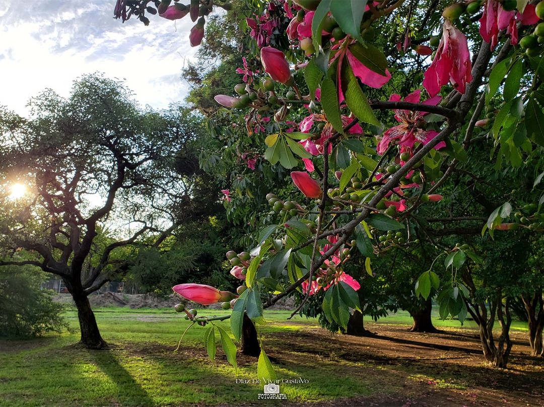 Parque Eva Hajduk-Berazategui必去景点