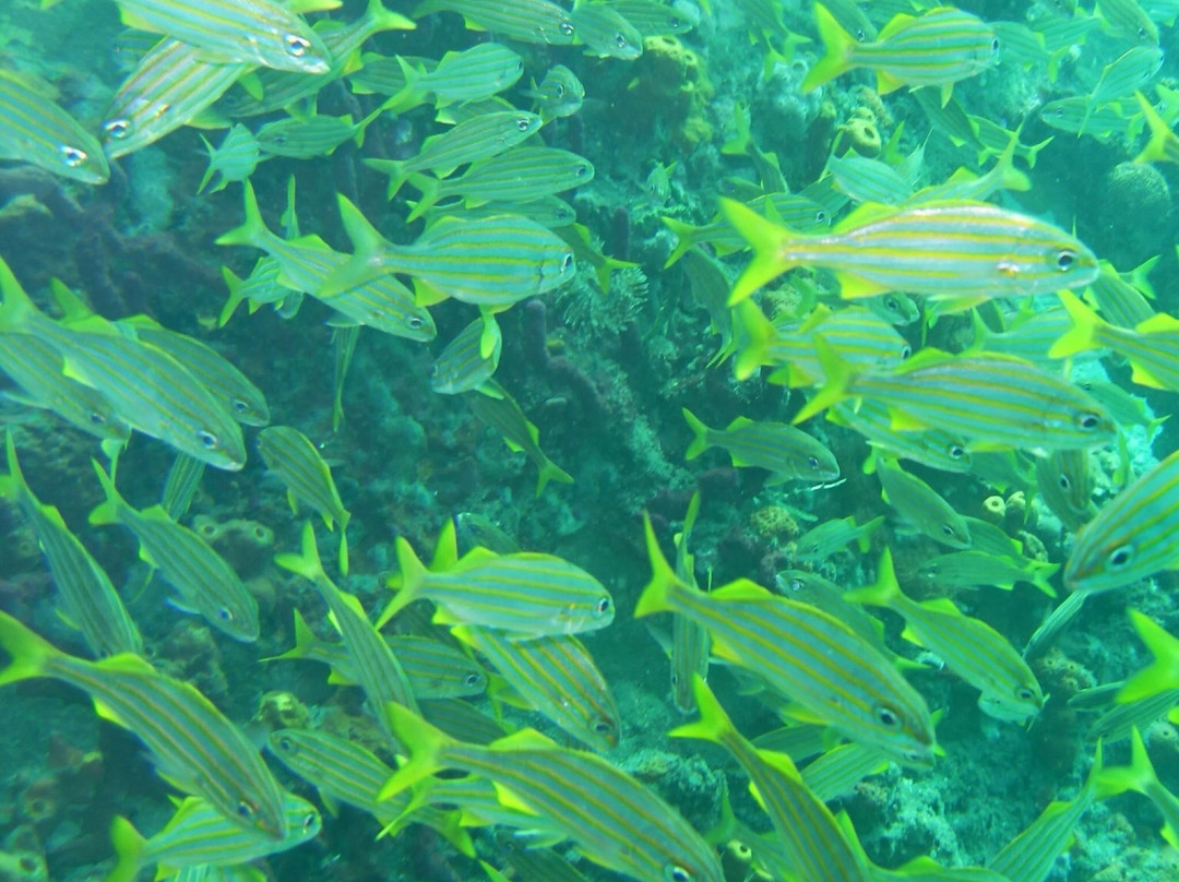 Corail Club Caraïbes-Trois-Ilets必去景点