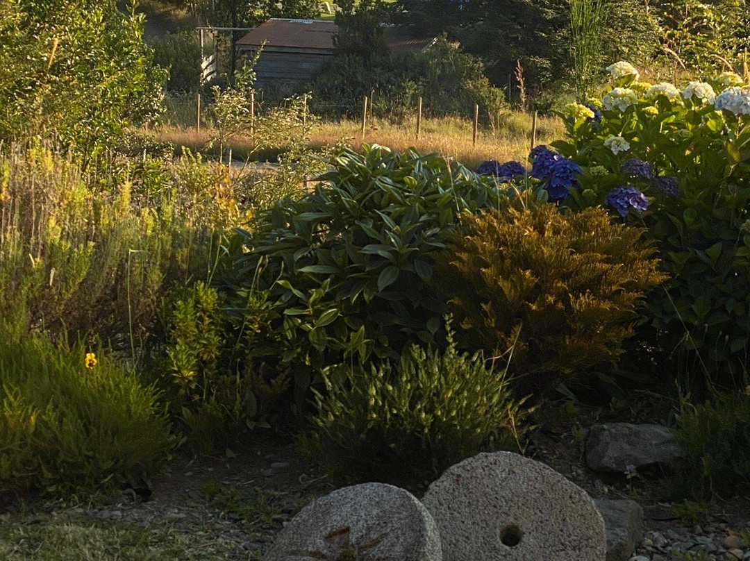 Hostal Casa Bosque主图