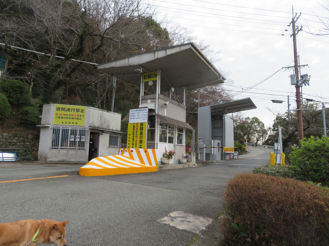 Satsukiyama Driveway景点图片