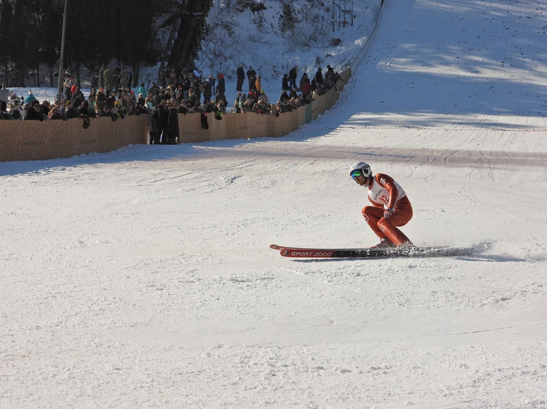 Snowflake Ski Club景点图片