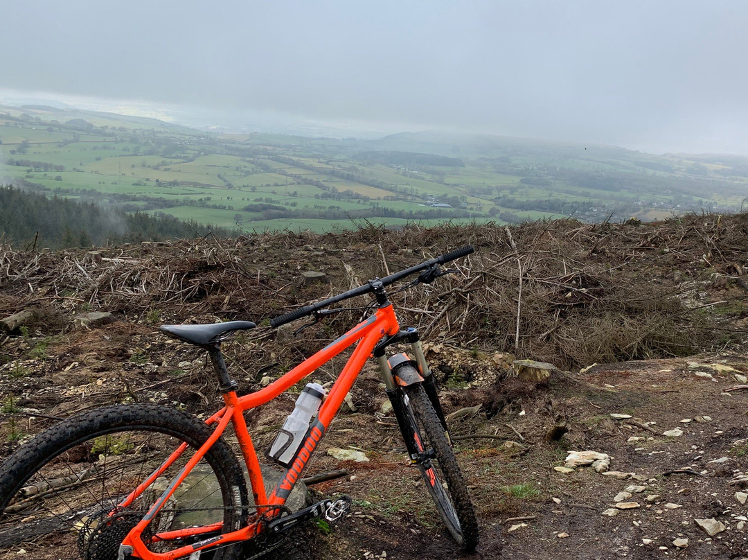 Coed Llandegla Forest-Llandegla必去景点