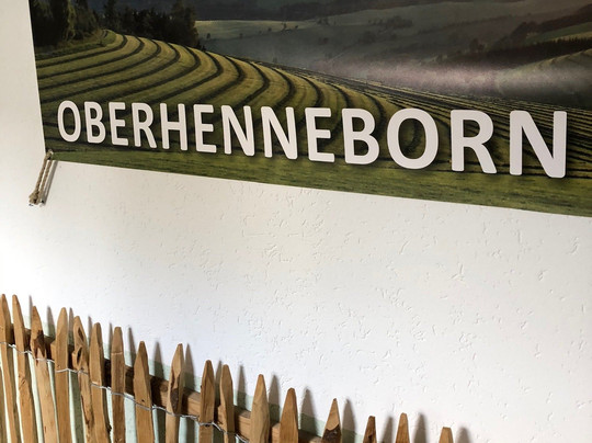 Wüllner's Landgasthof主图