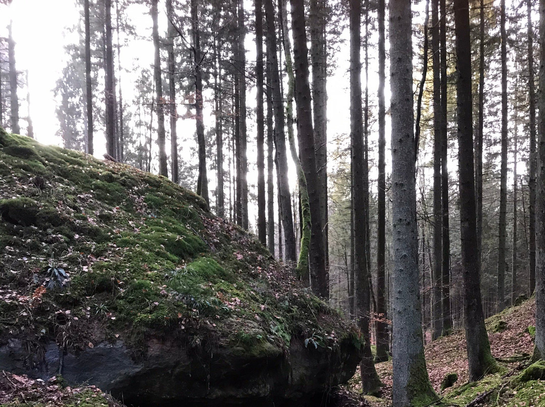 Naturpark Schwaebisch-Fränkischer Wald景点图片