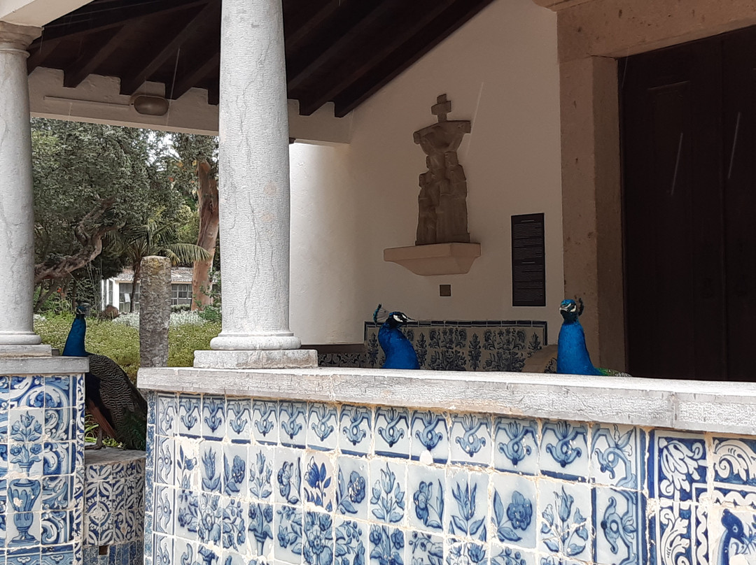 Pipefly-里斯本必去景点