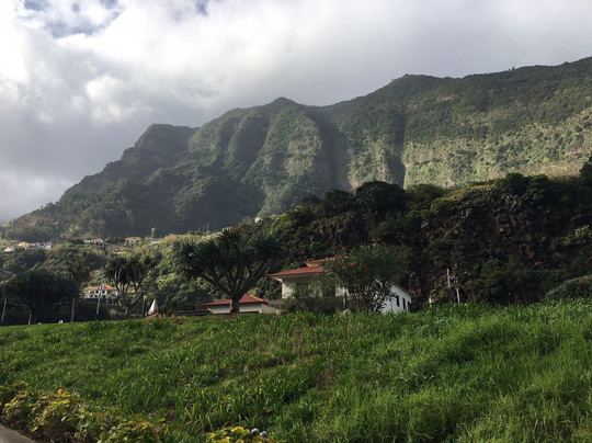 Madeira Wind Birds-沙尔必去景点