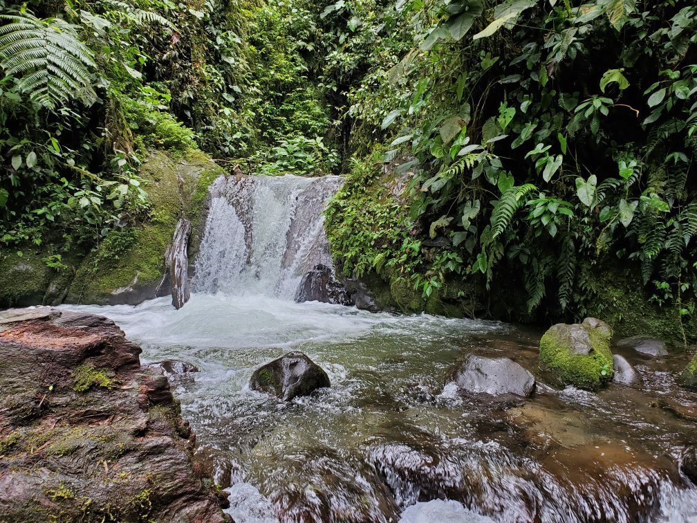Tarabita y Santuario de Cascadas Mindo-明多必去景点