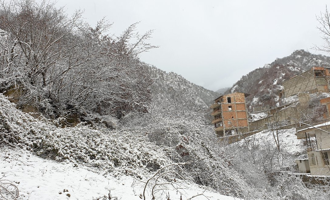 Ziarat Village景点图片