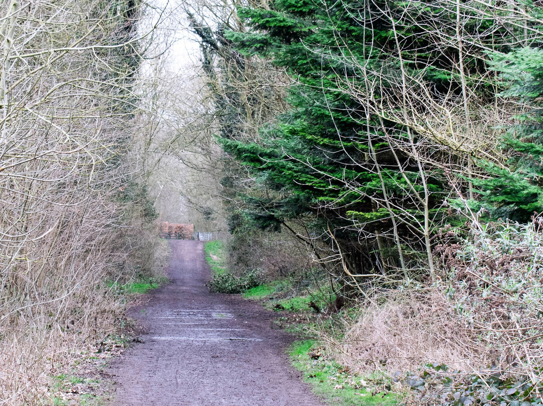 Smestow Valley Local Nature Reserve-沃尔夫汉普顿必去景点
