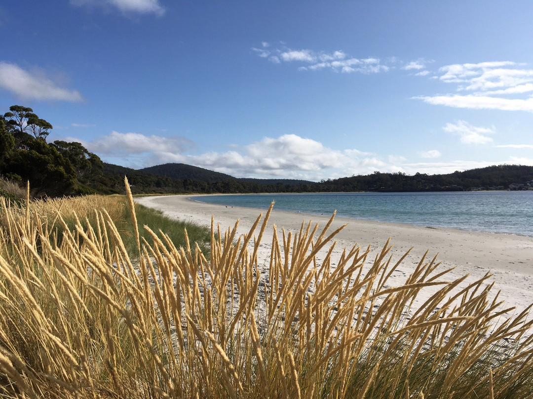 海滩竖琴手酒店主图