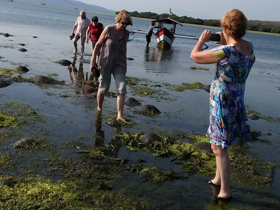 The Arya Guest House主图