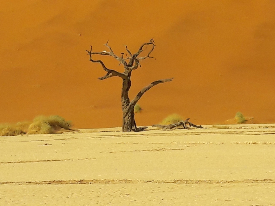 Comfort Tours and Safaris Namibia-温德和克必去景点