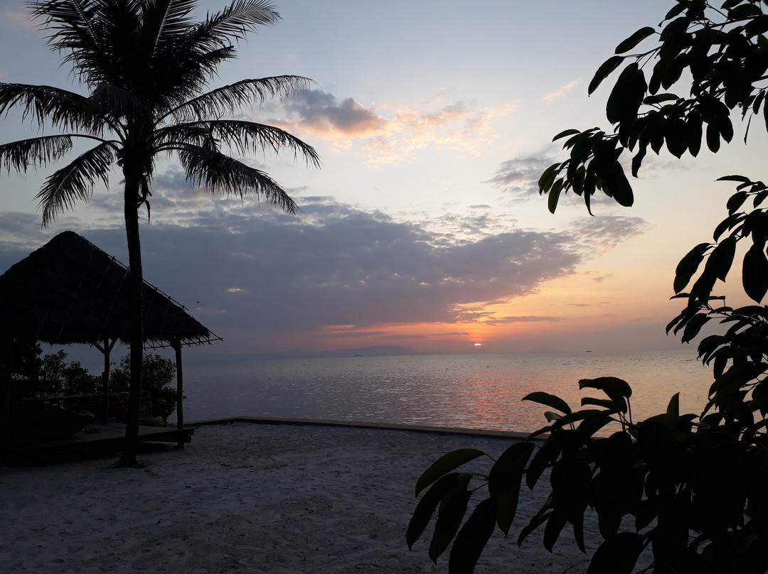 Samanea Beach Resort & Spa主图