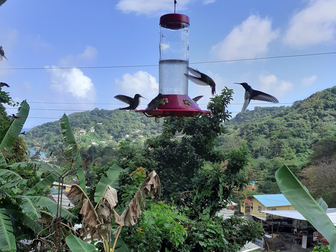 Hummingbird Gallery-Speyside必去景点