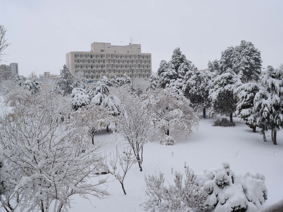 Ahmadabad Homa Hotel主图