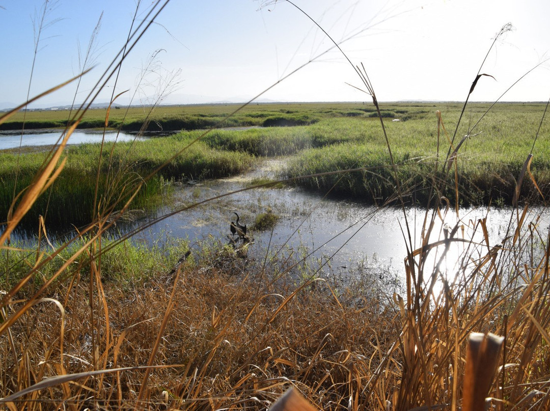 Townsville Town Common Conservation Park-汤斯维尔必去景点