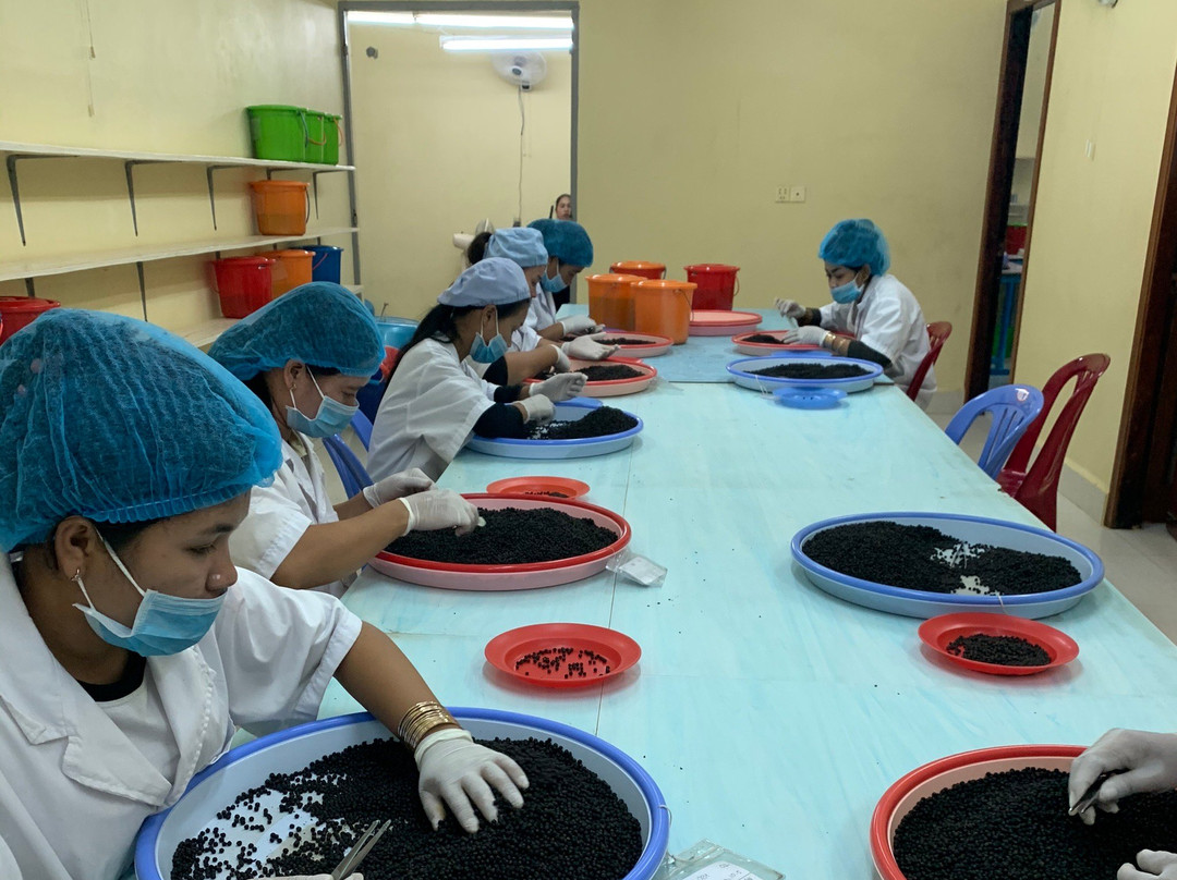 Farm Link-贡布必去景点