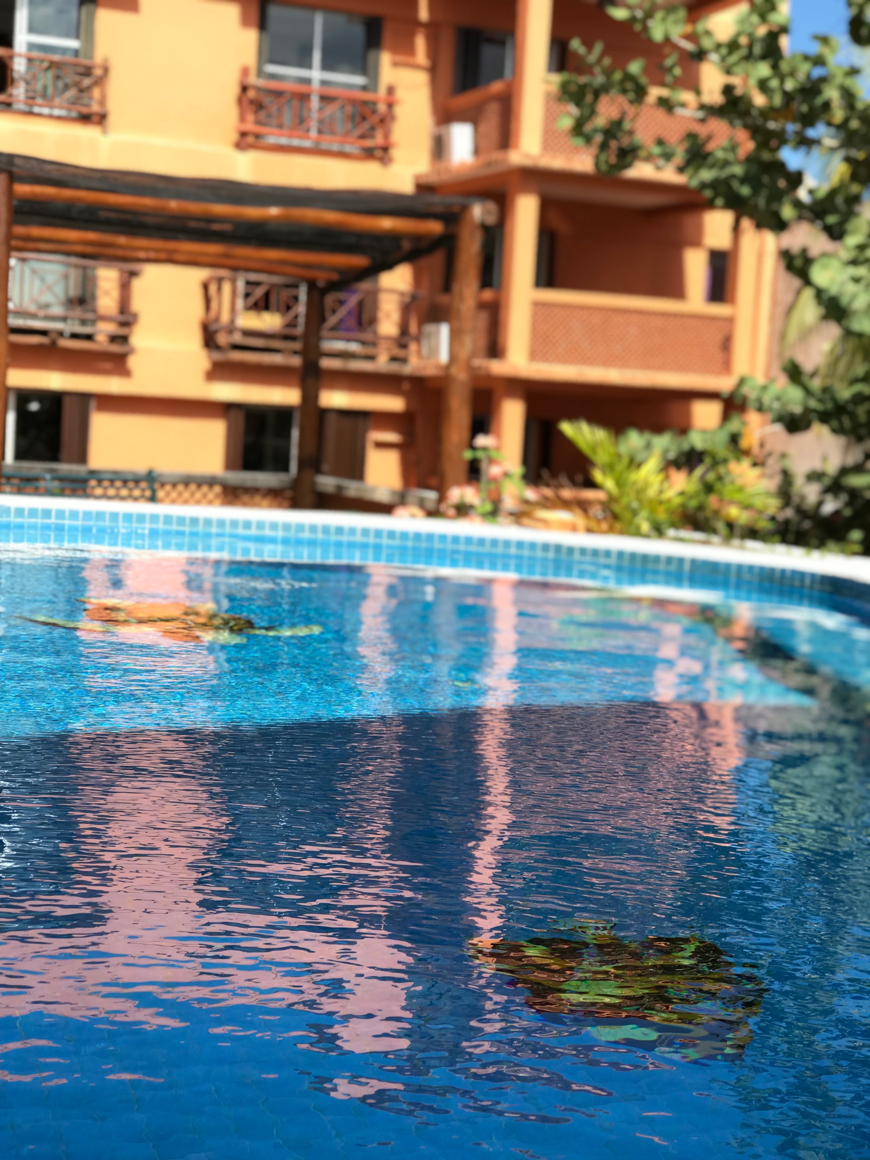 Hotel Vista Del Mar-portrait