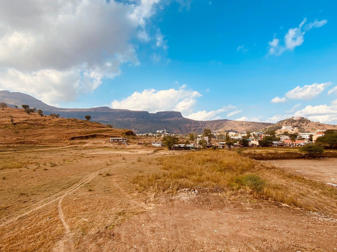 Hotel Shiva`s Inn主图