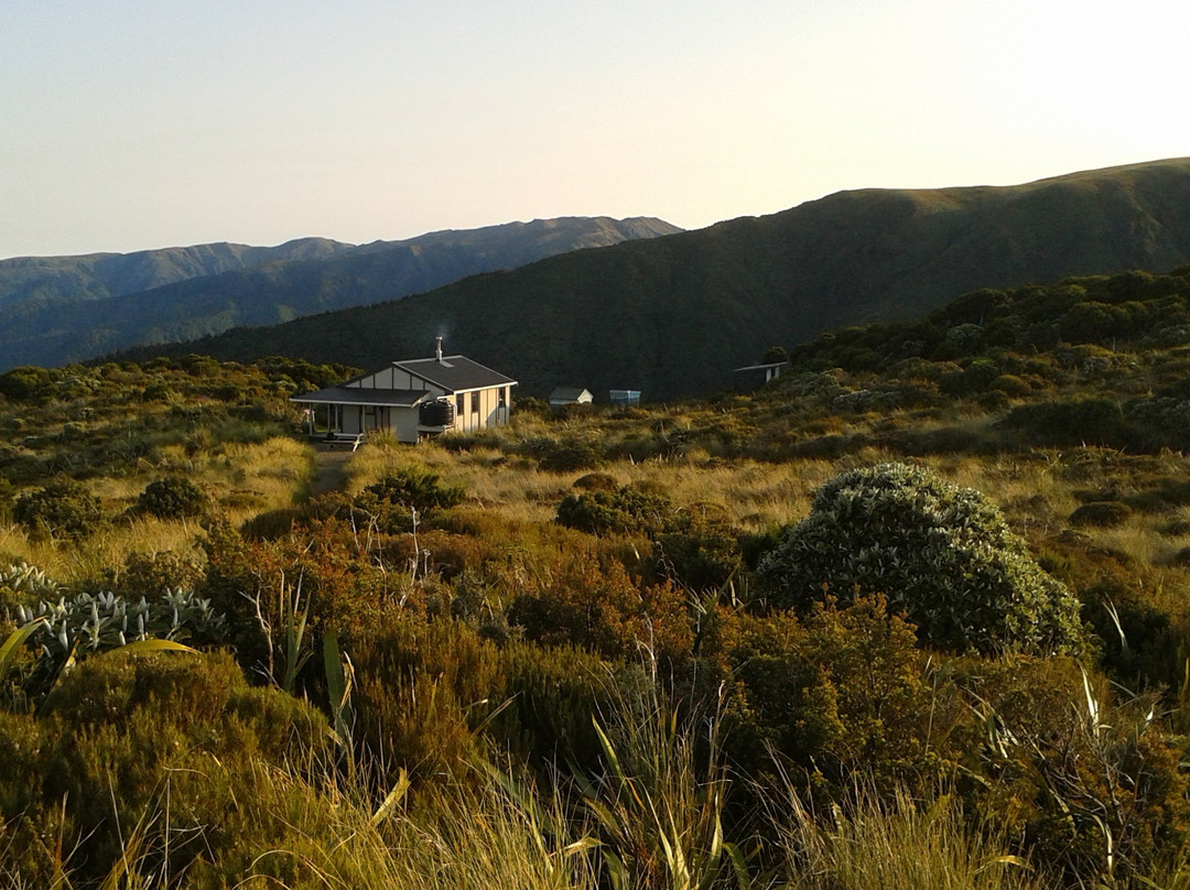 Rangiwahia Hut Track景点图片