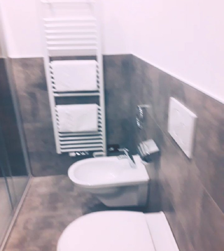 Hotel Majestic主图