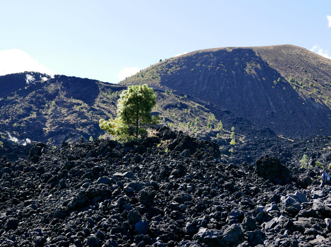 Paricutín Volcano景点图片