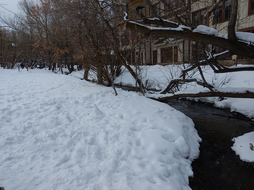 Marriott's Summit Watch主图