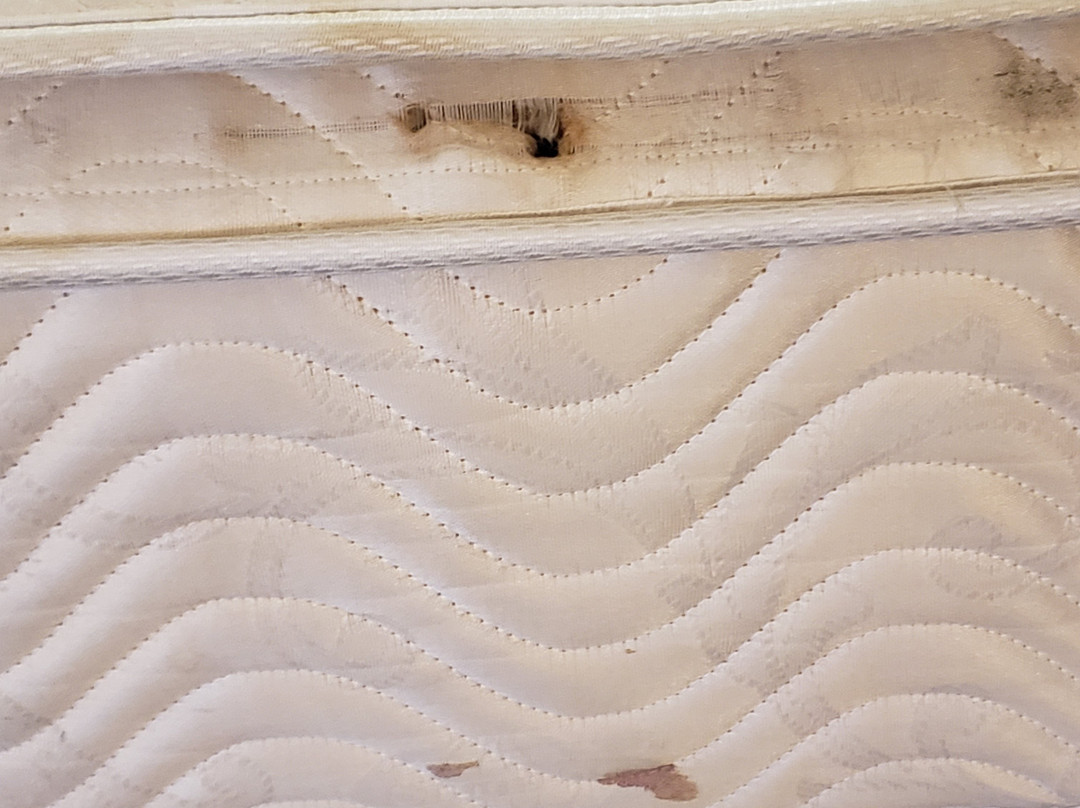 OYO Townhouse Orlando West主图