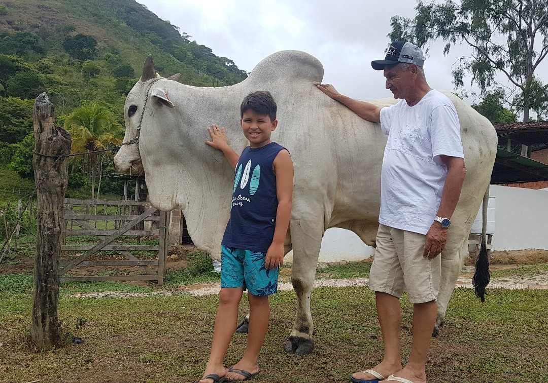Toca da Coruja-Bonito必去景点