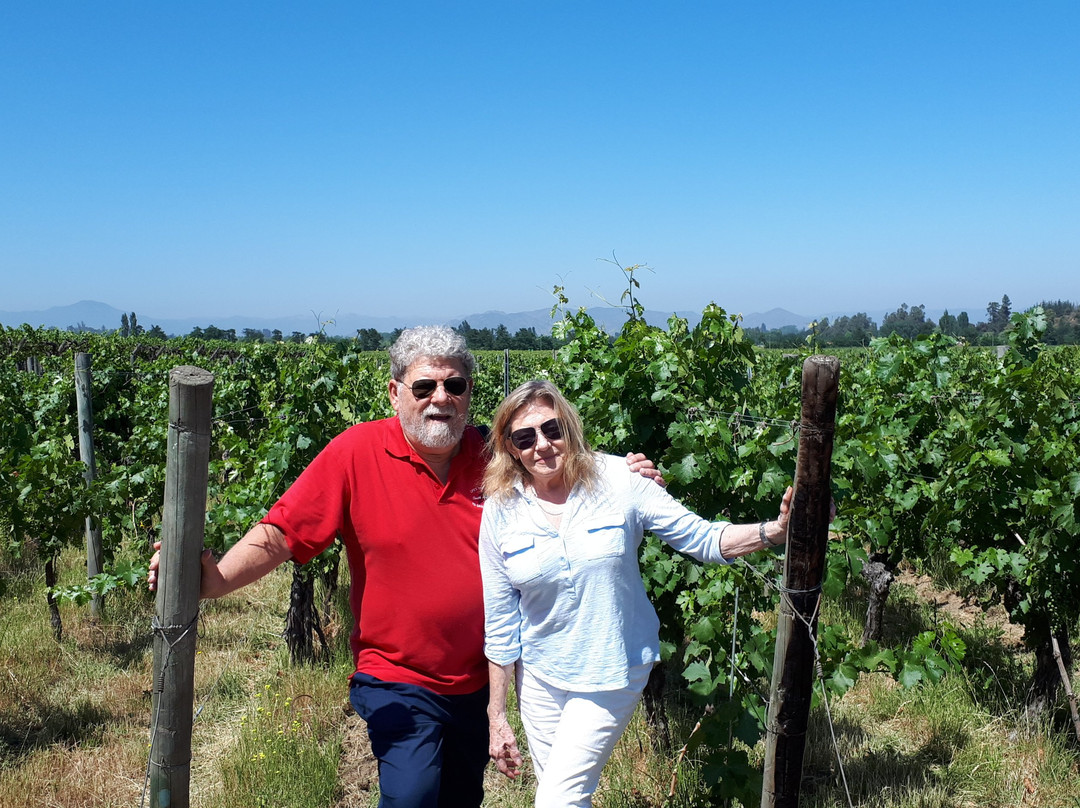 Colchagua Wine Lovers-圣克鲁斯必去景点