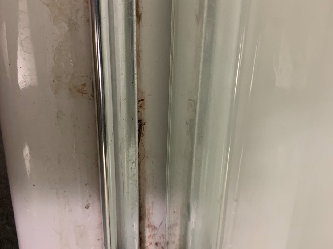 The Freeport Hotel, Ascend Hotel Collection主图