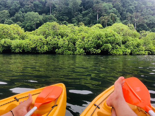 Kayaking with GK-哈夫洛克岛必去景点