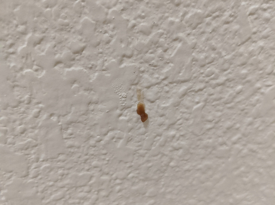 Best Western Amador Inn主图